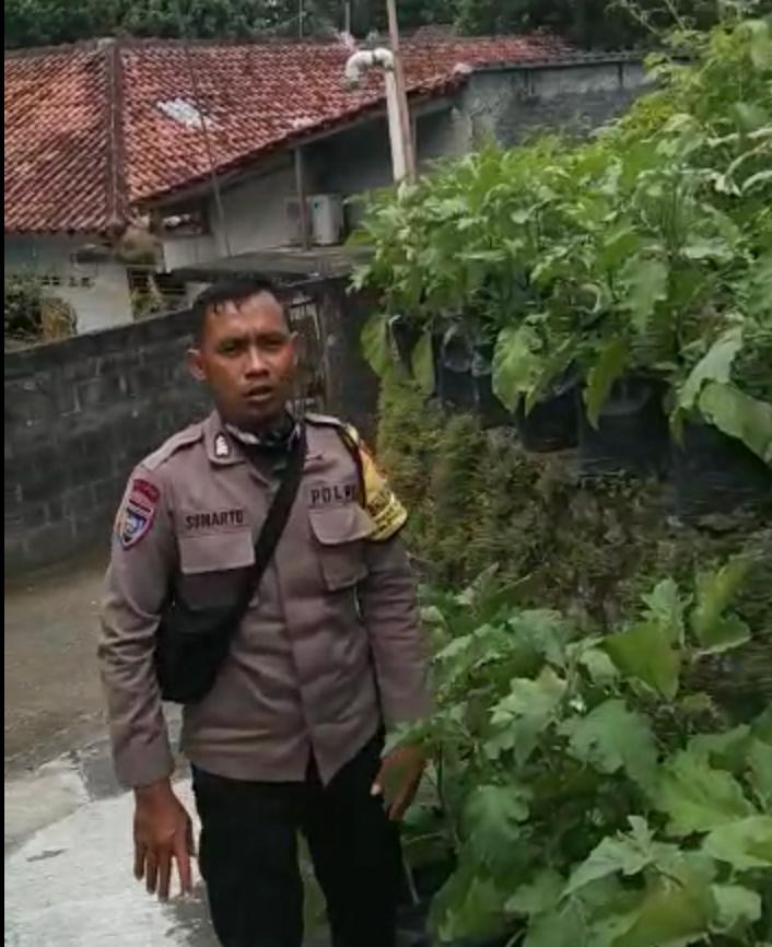 Kebun Terong Pak Polisi